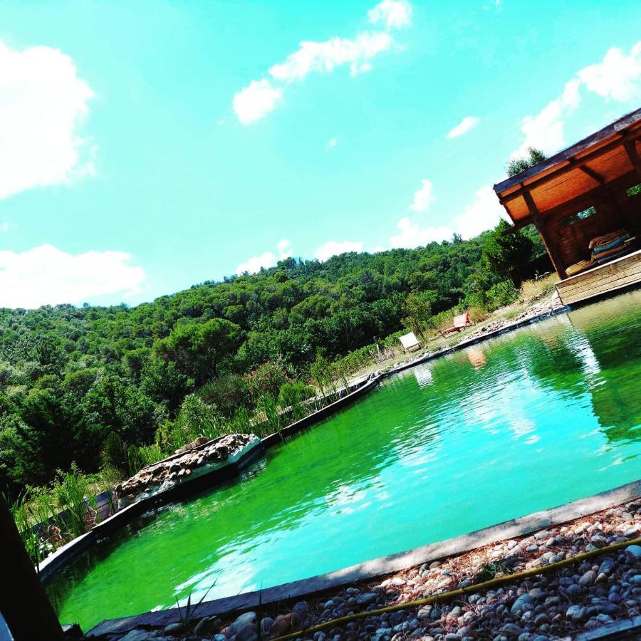 Appartement L'Etang Des Cigales à Uchaux Extérieur photo